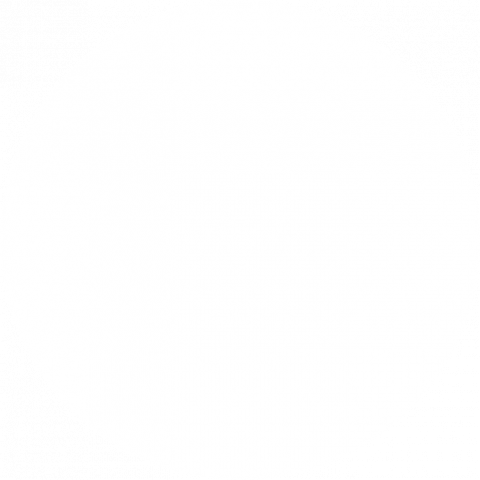 Shape círculo branco